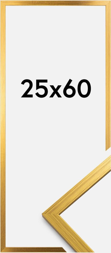Ramme Edsbyn Akrylglass Gull 25x60 Cm