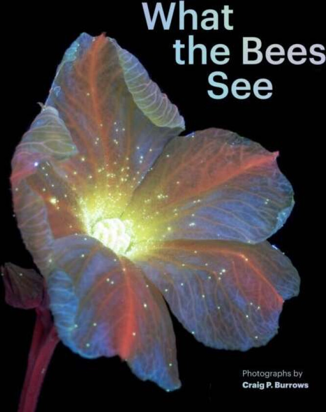 What the Bees See av Craig P. Burrows