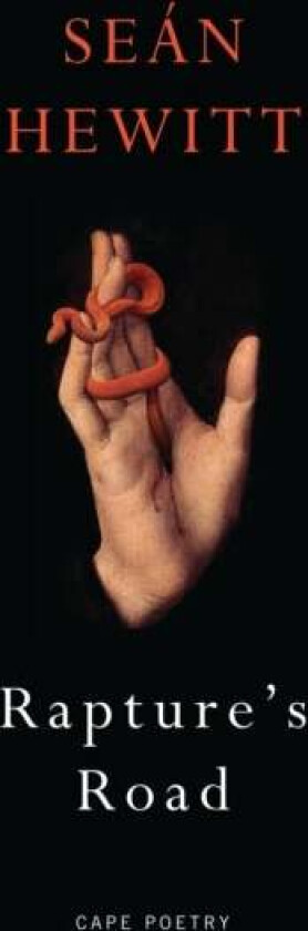 Rapture's Road av Sean Hewitt