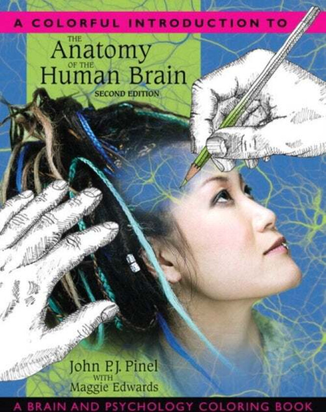 Colorful introduction to the anatomy of the brain av John Pinel