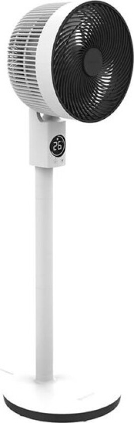 FAN Sefte 10" Pedestal