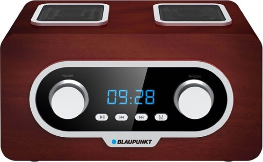 PP5.2BR Portable Radio  PP5.2BR
