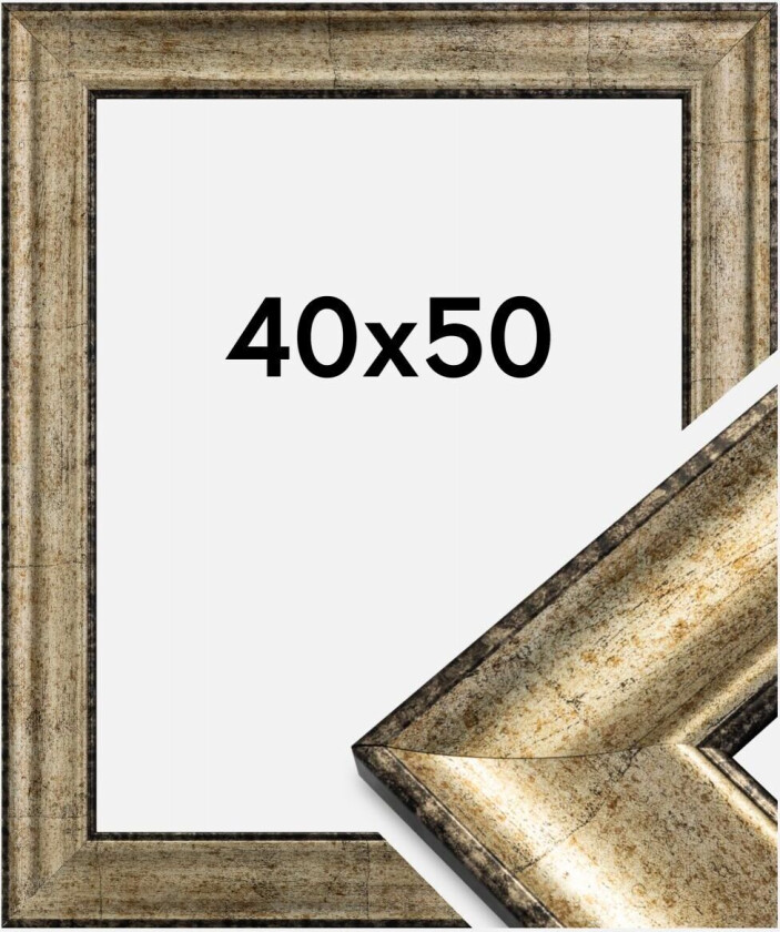 Ramme Saltsjöbaden Antikk Gull 40x50 Cm