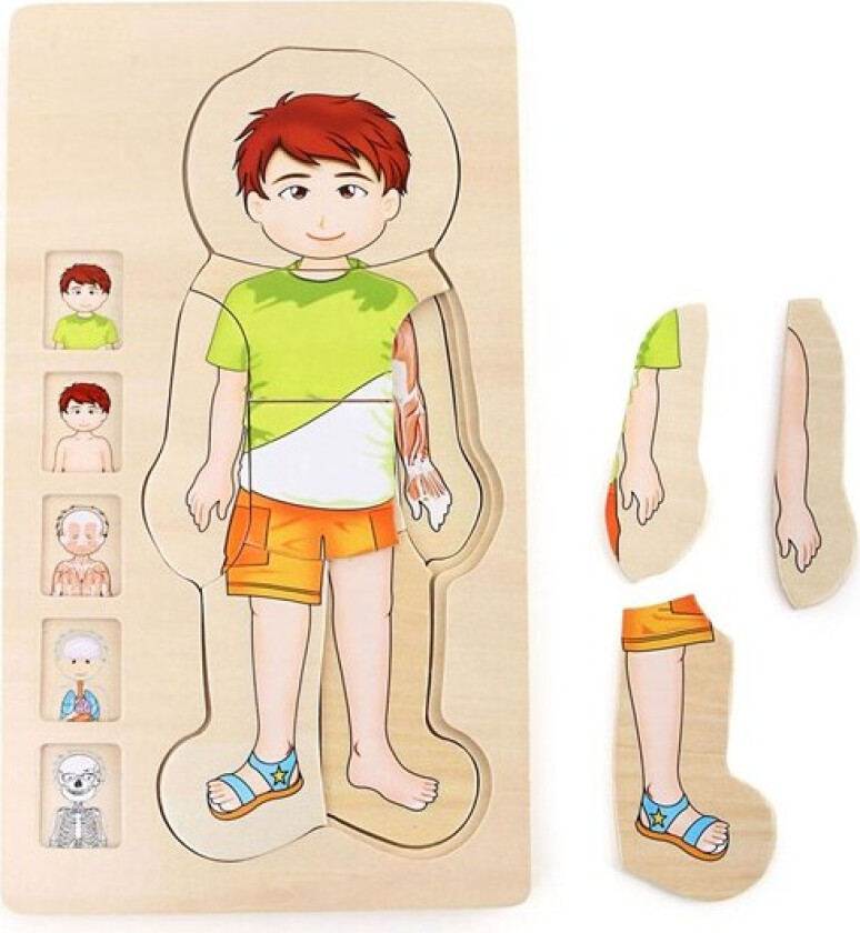 - Wooden Body Puzzle Boy 29st. Tre