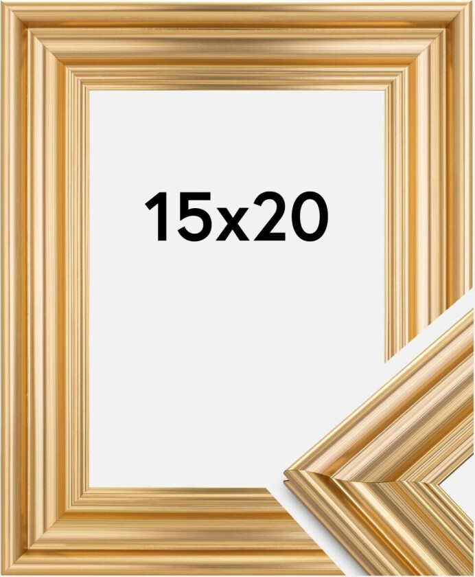 Focus Ramme Charleston Gull 15x20 Cm