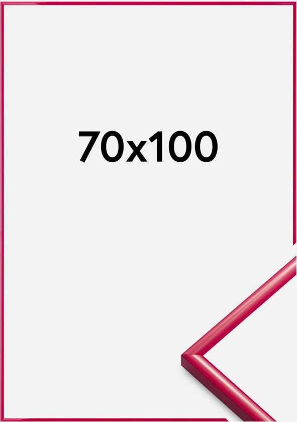 Ramme New Lifestyle Akrylglass Rose 70x100 Cm