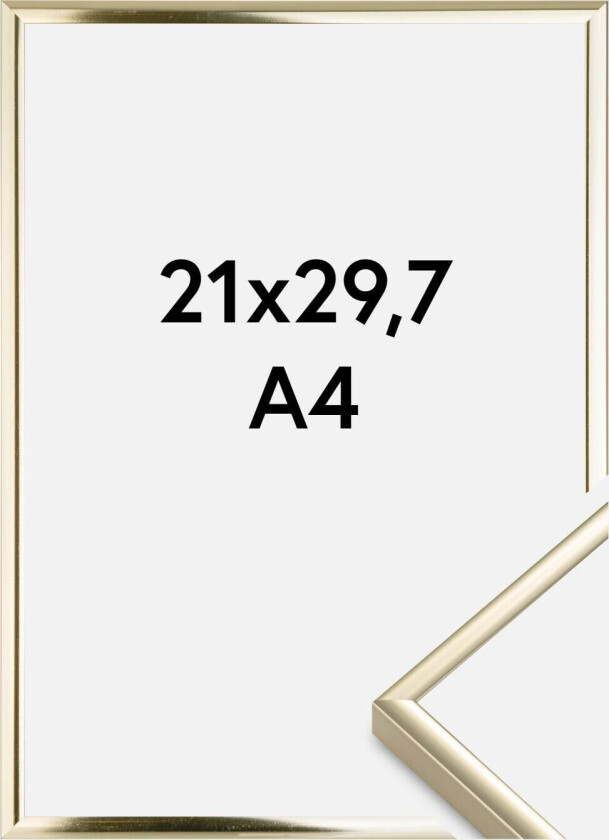 Ramme Aluminium Akrylglass Blank Gull 21x29,7 Cm (A4)