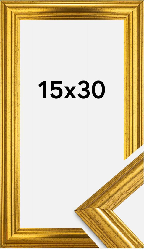 Ramme Västkusten Akrylglass Gull 15x30 Cm