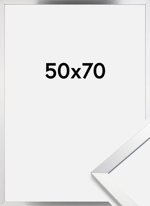 Ramme Trendy Sølv 50x70 Cm