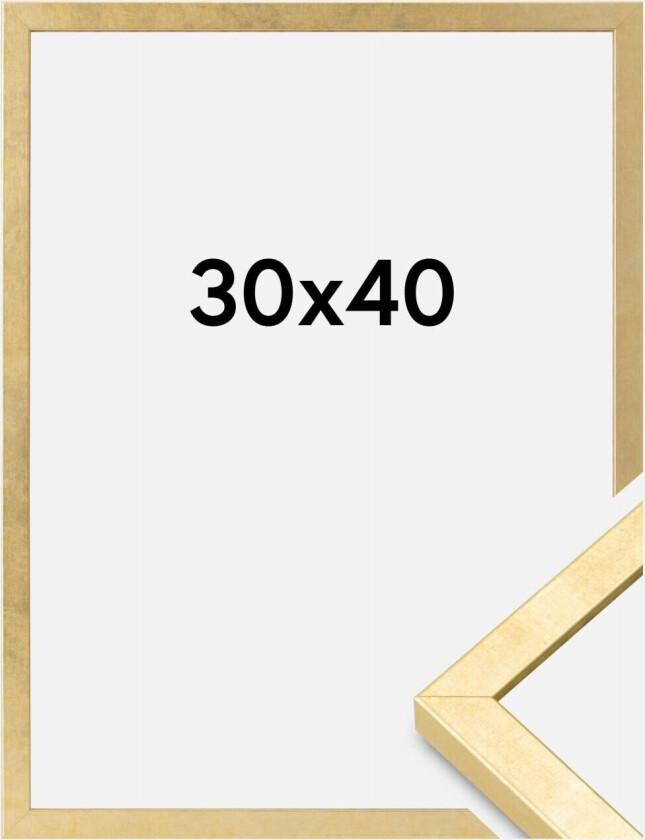 Ramme Ares Akrylglass Gull 30x40 Cm