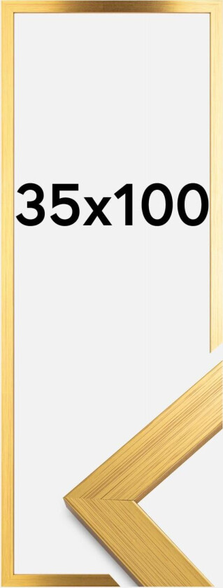 Ramme Gold Wood Akrylglass 35x100 Cm