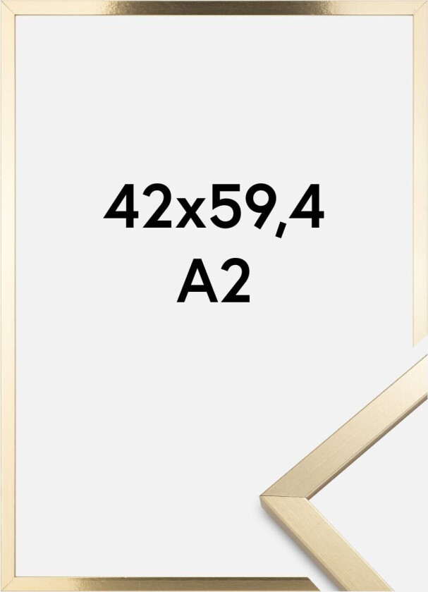 Ramme Trendy Akrylglass Gull 42x59,4 Cm (A2)