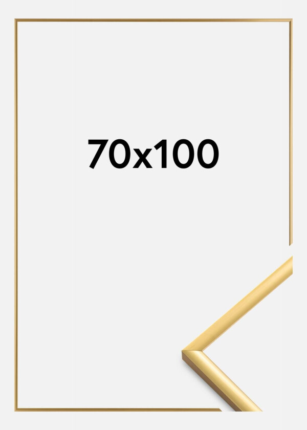 Ramme New Lifestyle Akrylglass Shiny Gold 70x100 Cm