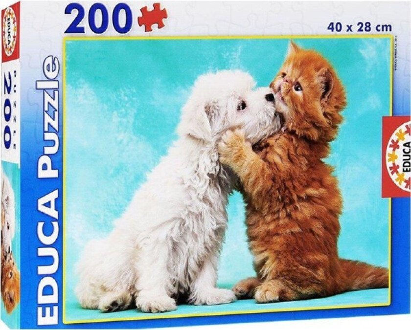 300 Klassebilde