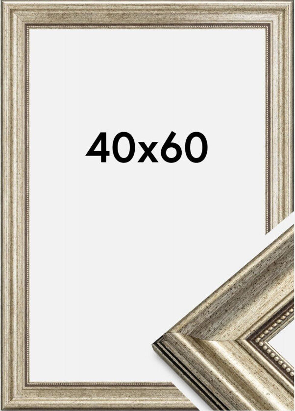 Ramme Rokoko Sølv 40x60 Cm
