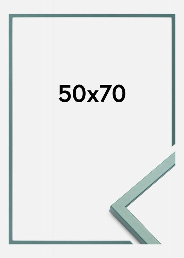 Ramme E-Line Akrylglass Grønn 50x70 Cm