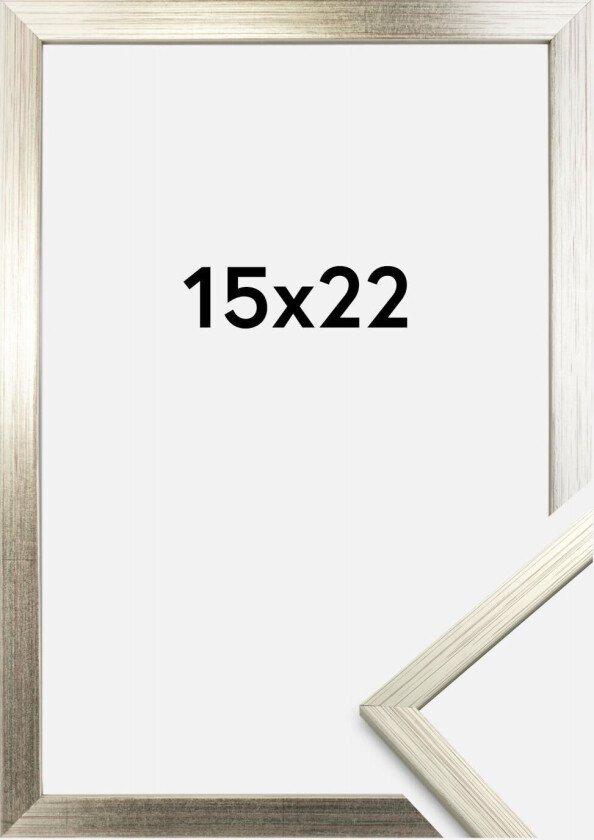 Ramme Edsbyn Sølv 15x22 Cm