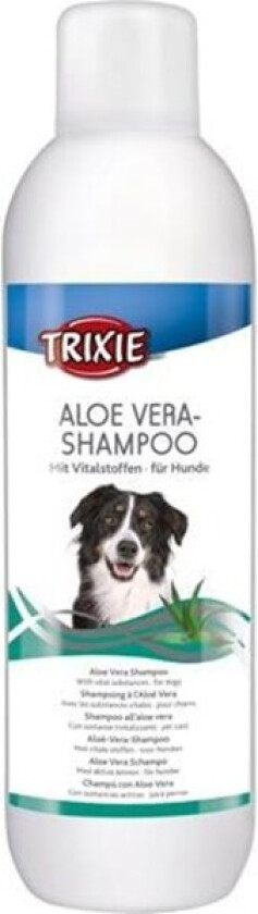 Aloe Vera shampoo 1 l