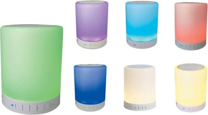 BTL-30 - speaker - for portable use - wireless