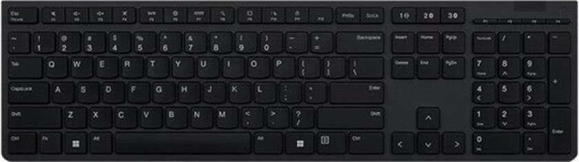 Professional - keyboard - QWERTY - Nordic - grey - Tastatur - Nordisk - Grå