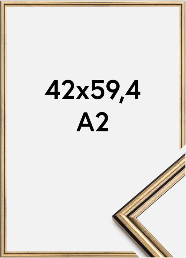 Ramme Horndal Akrylglass Gull 42x59,4 Cm (A2)