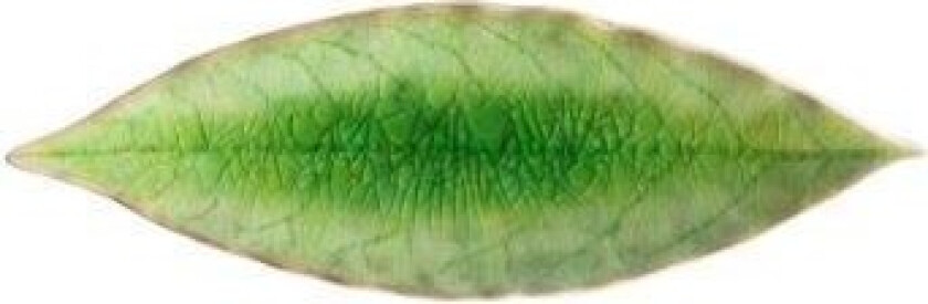 Asiet bay leaf Riviera 18 x 5.7 cm Green/Black Ceramic