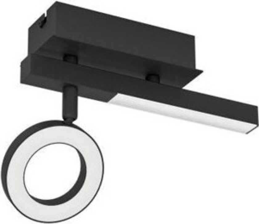 CARDILLIO 2 LOFT SORT