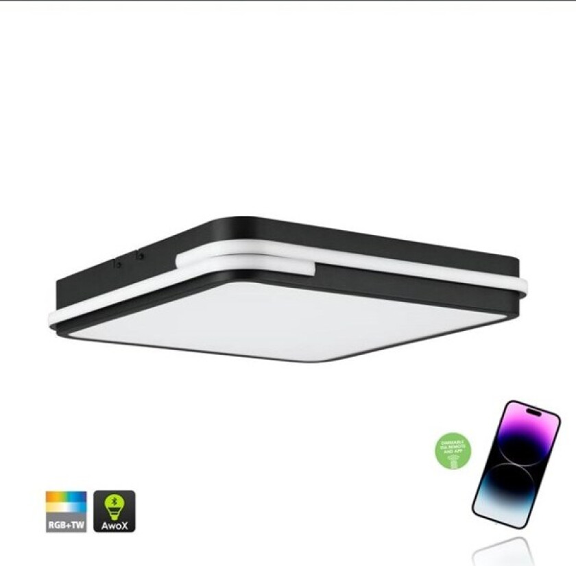 Connect-Z taklampe GENOVESE-Z SMARTLIGHT SVART/HVIT