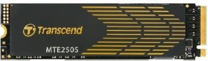 MTE250S - 1TB