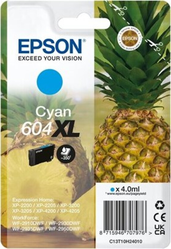 604XL - cyan - original - ink cartridge - Blekkpatron Blå