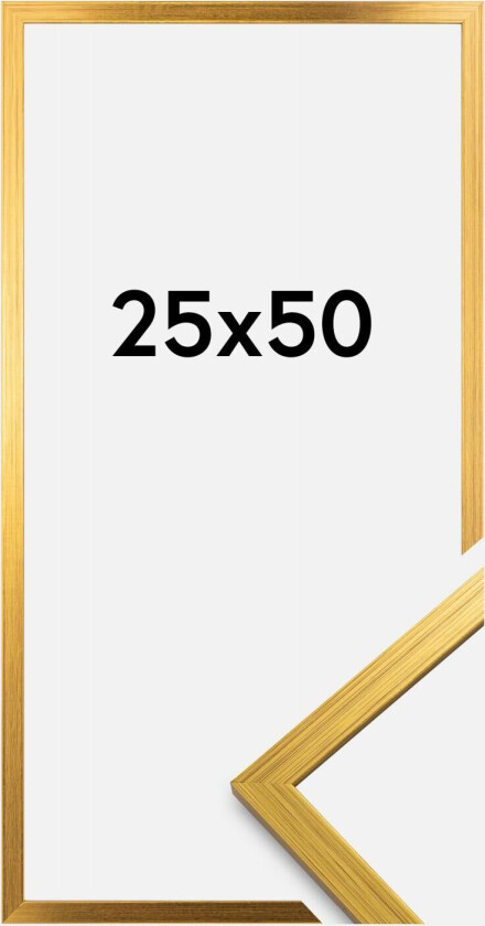 Ramme Edsbyn Akrylglass Gull 25x50 Cm