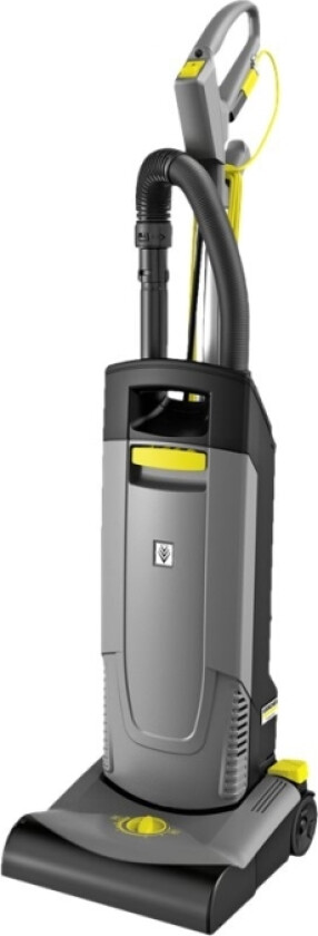 Professional CV 30/1