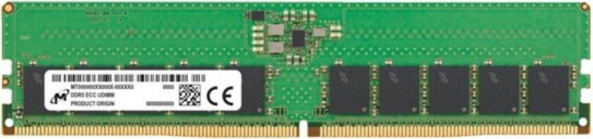 Micron