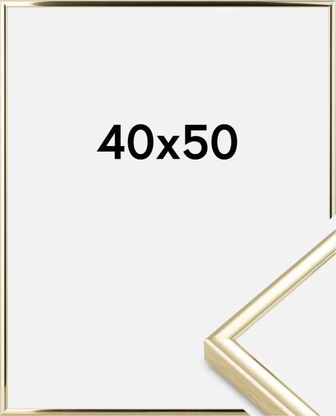 Ramme  Premium Classic Gull 40x50 Cm