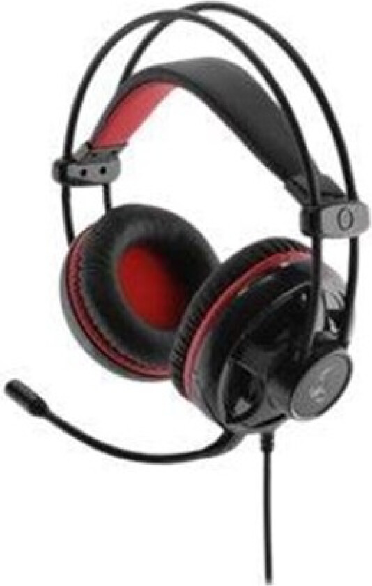 Gaming Series GS300