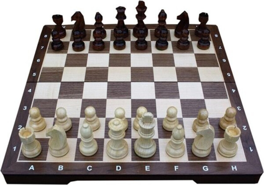 Chess Set Big (14')