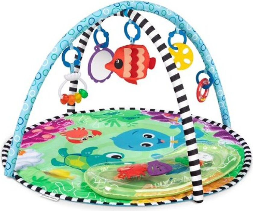 Sea Floor Explorers™ 2-in-1 Water Mat Play Gym