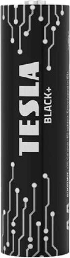 Black Alkaline battery AA LR06 (24 pcs.)