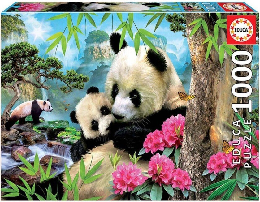 1000 Morning Panda