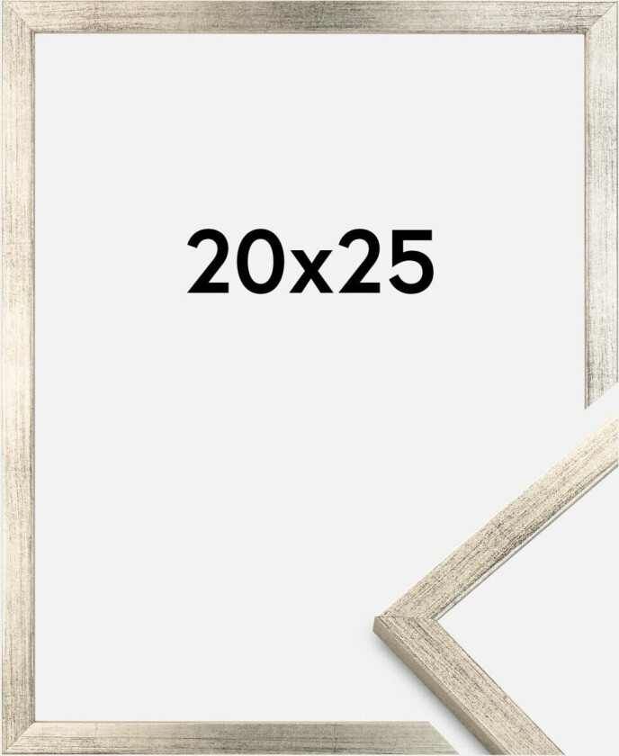 Ramme Galant Sølv 20x25 Cm