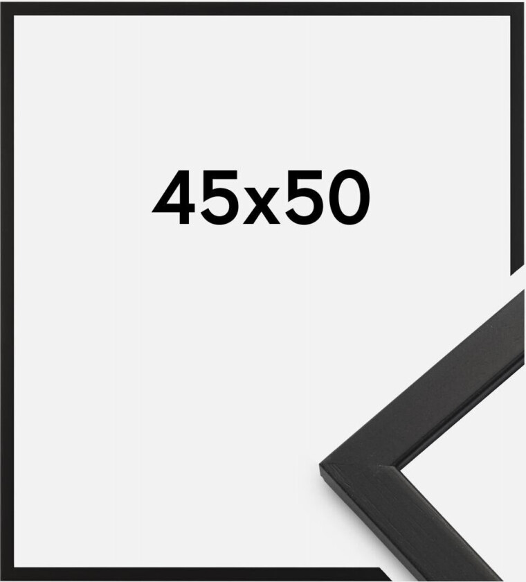 Ramme Edsbyn Akrylglass Svart 45x50 Cm