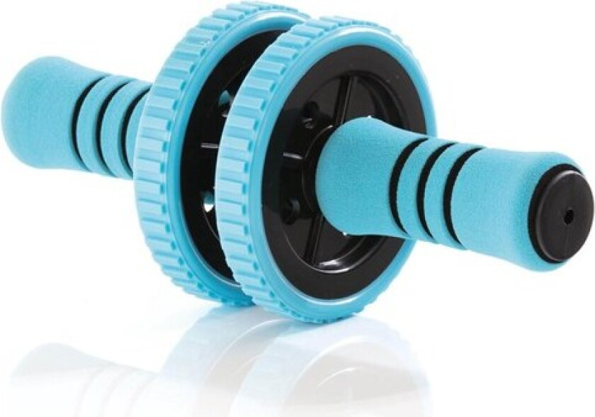 Active Workout Roller