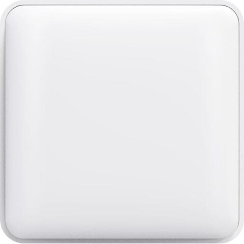 Ceiling Light C2001S500