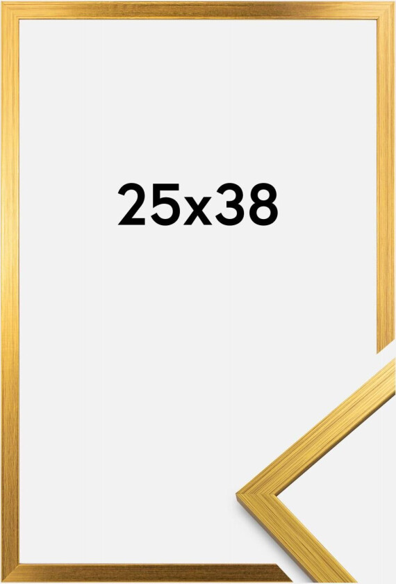 Ramme Edsbyn Akrylglass Gull 25x38 Cm