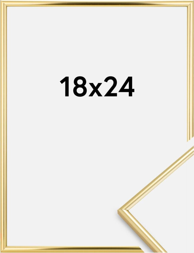 Focus Ramme Can-Can Gull 18x24 Cm