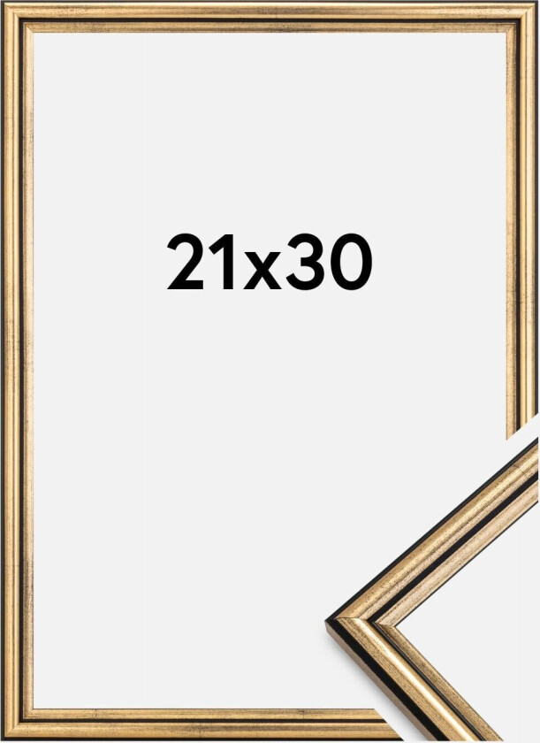 Ramme Horndal Gull 21x30 Cm