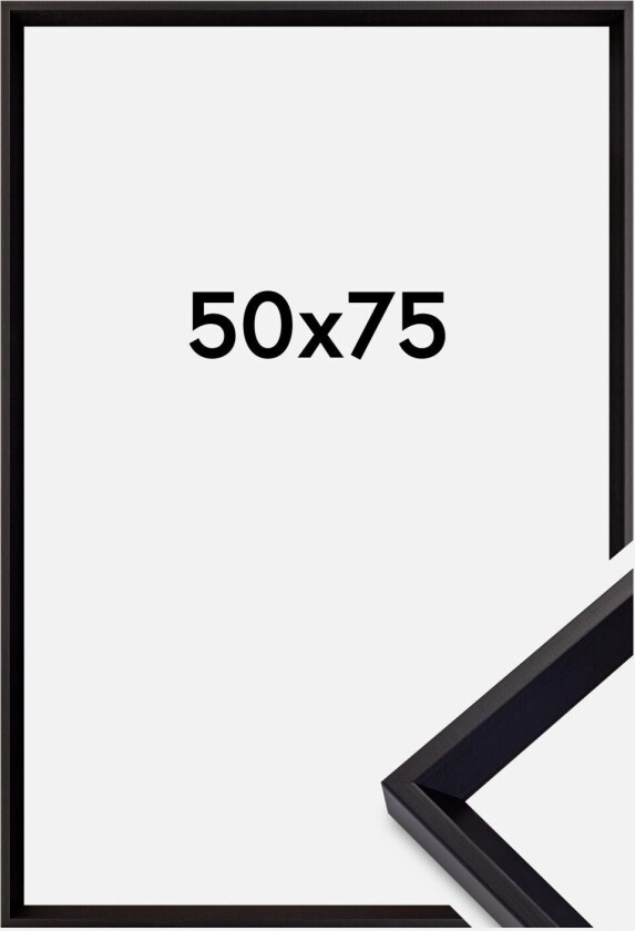 Ramme Globe Akrylglass Svart 50x75 Cm