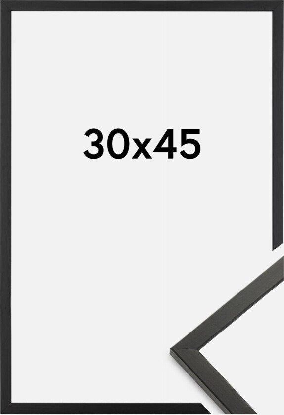 Ramme Galant Akrylglass Svart 30x45 Cm