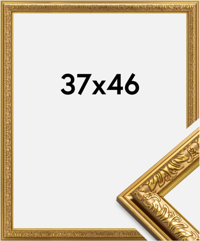 Ramme Nostalgia Akrylglass Gull 37x46 Cm