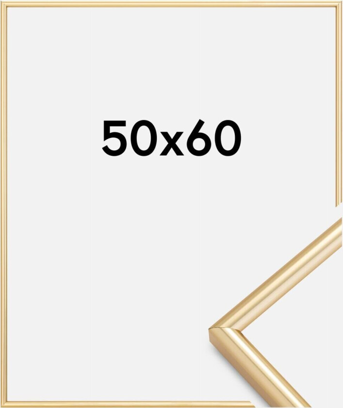 Ramme Galeria Gull 50x60 Cm